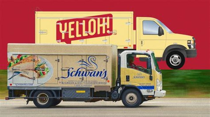 Buy Schwan's Food Online: Delivery & More