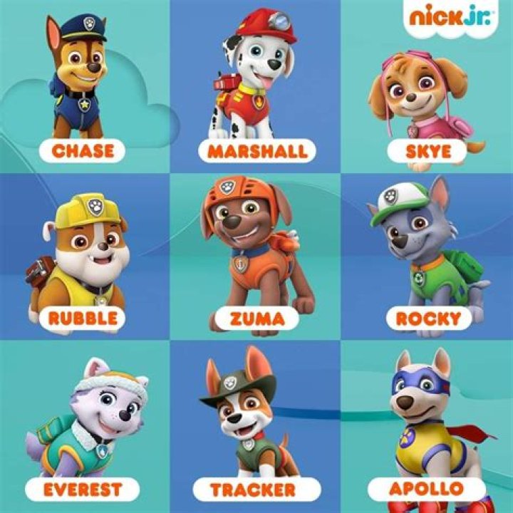 Meet the Paw Patrol Pups and Characters