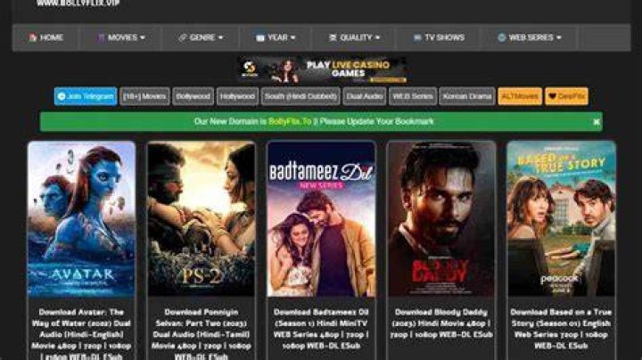 Watch Bollywood Movies Online: BollyFlix Guide